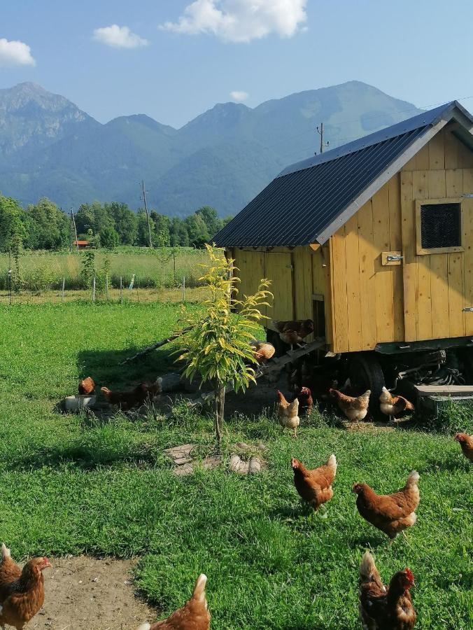 Glamping Mohorjev grunt Hotell Preddvor Eksteriør bilde
